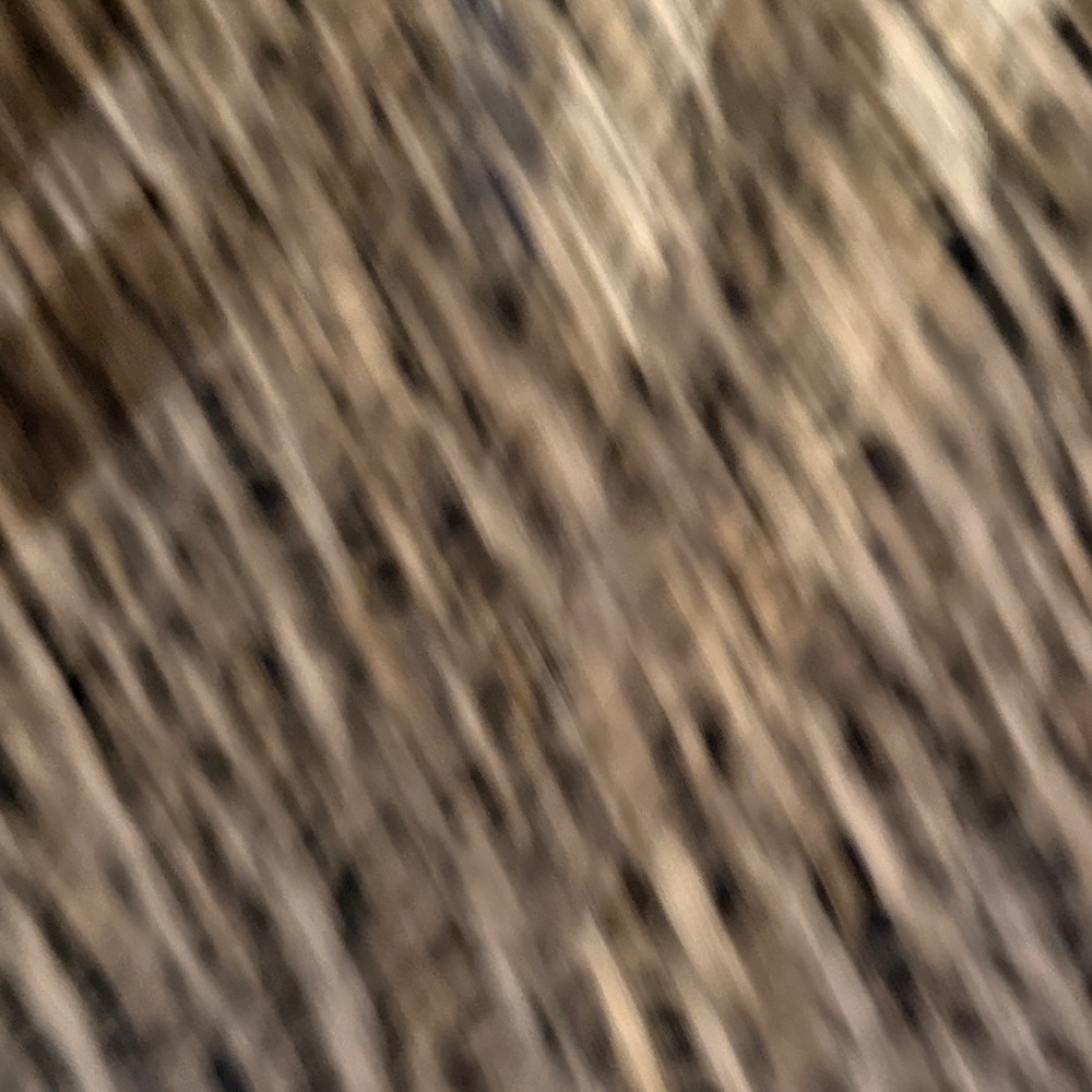 Leopard Print Velvet Joggers - Picture 5 of 7